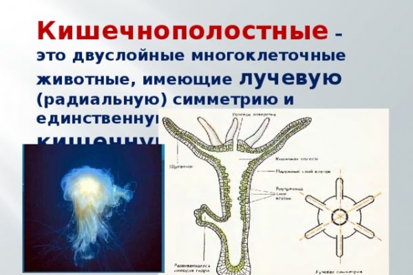 Тор blacksprut blacksprut cam